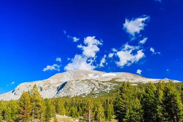 Tioga Pass, Yosemite National Park, Sierra Nevada, USA — Stock Photo, Image