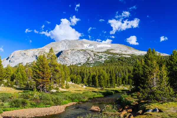 Tioga Pass, Yosemite Nemzeti Park, Sierra Nevada, Amerikai Egyesült Államok — Stock Fotó