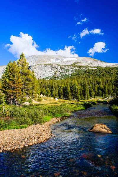 Tioga Pass, Yosemite National Park, Sierra Nevada, USA — Stock Photo, Image