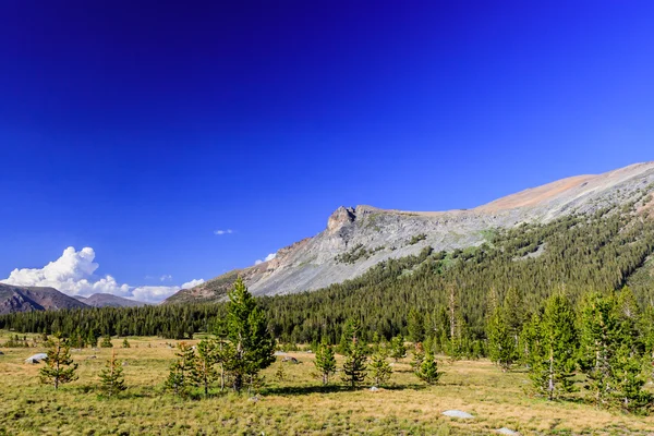 Tioga pass, yosemite nationalpark, sierra nevada, usa — Stockfoto