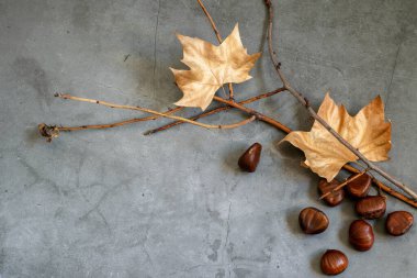 Kuru ağaç dalları ve altın yaprakları olan kasvetli bir arka plan. Cadılar Bayramı kartı veya parti davetiyesi için güzel bir tasarım..