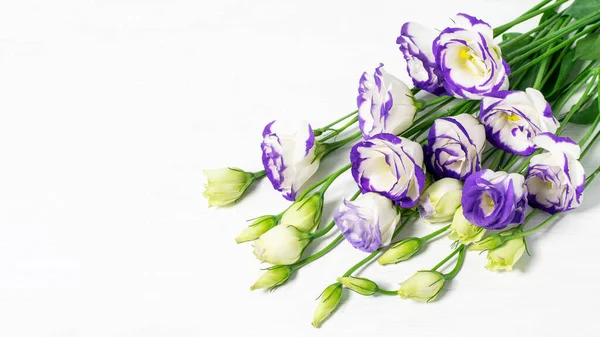 Beyaz arka planda bir buket lisianthus mavisi ya da Eustoma grandiflora, horisonal. Vealentine günü ya da anneler günü ya da herhangi bir yıldönümü için güzel bir tebrik kartı tasarımı..  