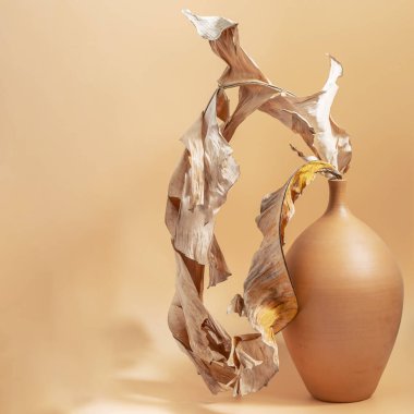 Bej renksiz arka planda uzun kil vazoda kurumuş palmiye yaprakları. Metnin için kopyalama alanı olan iç doğal elementin güzel tasarımı.