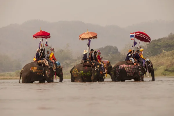 SUKHOTHAI - 7 DE ABRIL: Desfile de ordenación de Sukhothai en el festival de regreso de elefantes en el Templo Hadsiao, Si Satchanalai desde el 7 de abril, Montar en elefante y ordenación Puan tailandesa el 7 de abril de 2016 en Sukhothai . —  Fotos de Stock