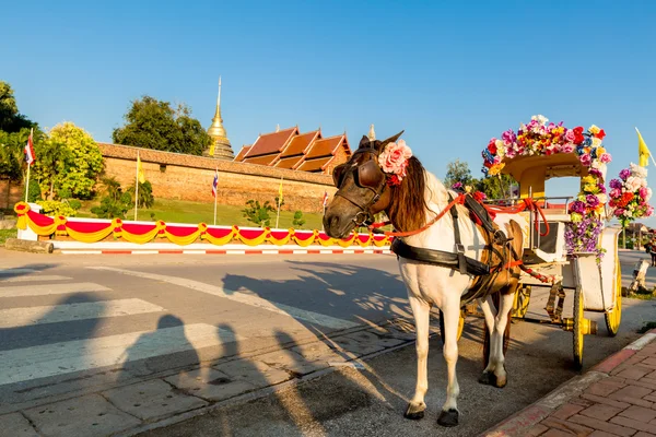 Chariot traditionnel à Wat Phra que Lampang Luang est un L — Photo