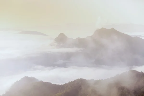 Berge im Nebel am Morgen in phuchifa chiang rai, Thailand. — Stockfoto