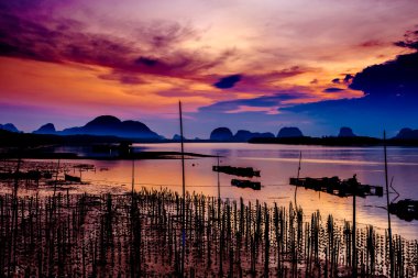 Samchong-tai, Phang Nga, Tayland, Thailand, balıkçı köyü'nde istiridye çiftlikleri