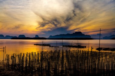 Samchong-tai, Phang Nga, Tayland, Thailand, balıkçı köyü'nde istiridye çiftlikleri