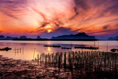 Samchong-tai, Phang Nga, Tayland, Thailand, balıkçı köyü'nde istiridye çiftlikleri