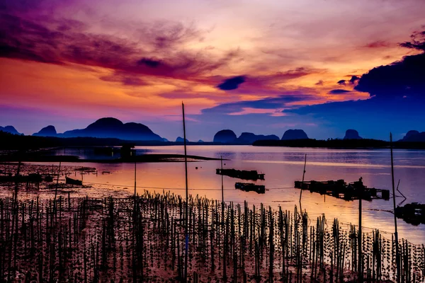 Ústřicových farmách v rybářské vesnici na Samchong-tai, Phang Nga, Thajsko — Stock fotografie