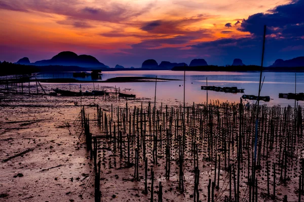 Las granjas de ostras en la aldea de pescadores en Samchong-tai, Phang Nga, Tailandia —  Fotos de Stock