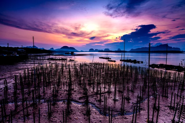 Las granjas de ostras en la aldea de pescadores en Samchong-tai, Phang Nga, Tailandia —  Fotos de Stock