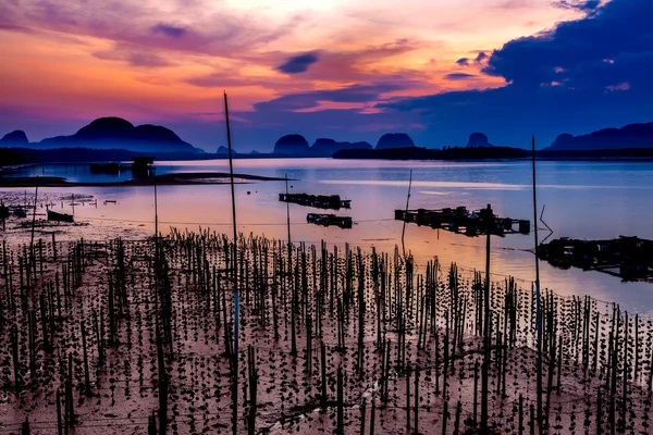 Ústřicových farmách v rybářské vesnici na Samchong-tai, Phang Nga, Thajsko — Stock fotografie