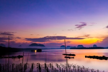 Samchong-tai, Phang Nga, Tayland, Thailand, balıkçı köyü'nde istiridye çiftlikleri