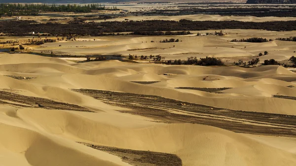 Sand dunes against the background,Leh Ladakh, Himalaya, Jammu & — Stock Photo, Image