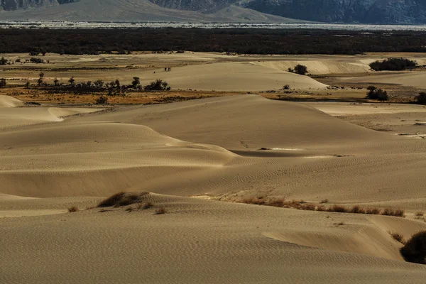 Sand dunes against the background,Leh Ladakh, Himalaya, Jammu & — Stockfoto