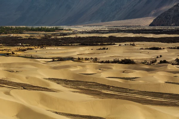 Sand dunes against the background,Leh Ladakh, Himalaya, Jammu & — Stockfoto