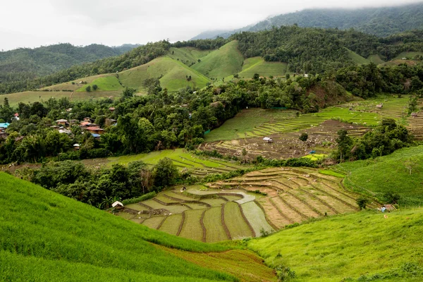 Campos de arroz en terrazas de Pa Pong Pieng, Mae Chaem, Chiang Mai , — Foto de Stock