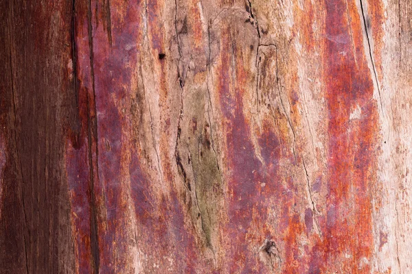 Texture of old wood wall background. — Stock Photo, Image