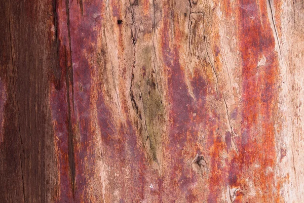 Texture of old wood wall background. — Stock Photo, Image