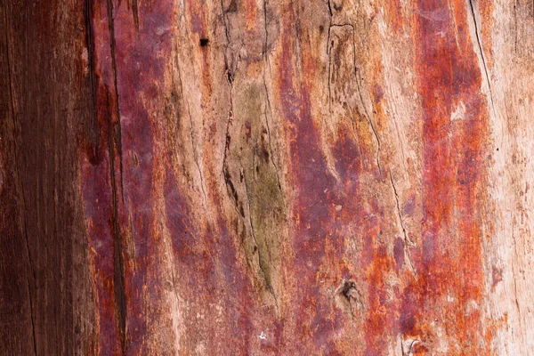 Texture of old wood wall background. — Stock Photo, Image