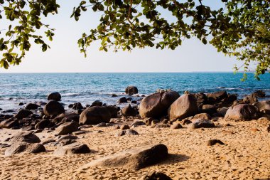 güzel tropik sahil görünümü.