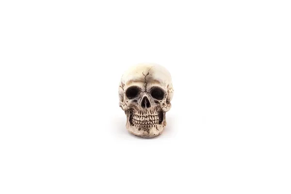 Людський череп на ізольованому білому тлі . — стокове фото