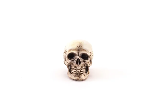 Human skull on isolated white background. — Stock Photo, Image