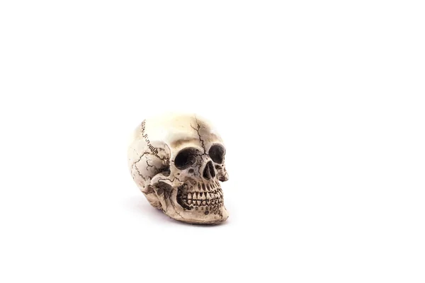 Human skull on isolated white background. — Stock Photo, Image