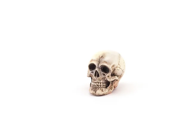 Crânio humano no fundo branco isolado . — Fotografia de Stock