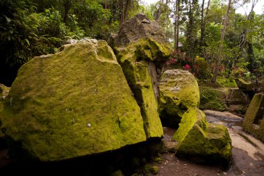 Pura Goa Gajah.goa gajah t büyük yosunlu kayalar ile manzara