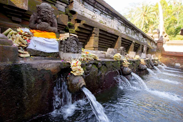 Kutsal bahar su Tirta Empul Hindu tapınağı, Bali Endonezya — Stok fotoğraf