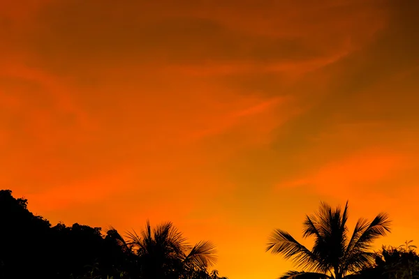 O céu no crepúsculo tempo fundo . — Fotografia de Stock