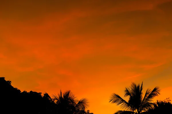 O céu no crepúsculo tempo fundo . — Fotografia de Stock