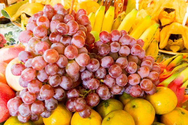 Citrusfélék, szőlő, alma, banán, kókuszdió. — Stock Fotó
