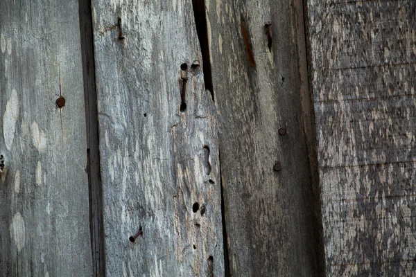 Surface of timber background,wood background. — Stock Photo, Image