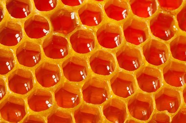 Petek Bal dolu hücrelerle parçası