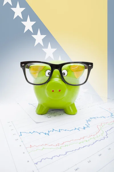 Piggy bank met vlag op achtergrond - Bosnië en herzegovina — Stockfoto