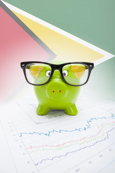 Piggy bank with flag on background - Guyana — Stock Photo, Image