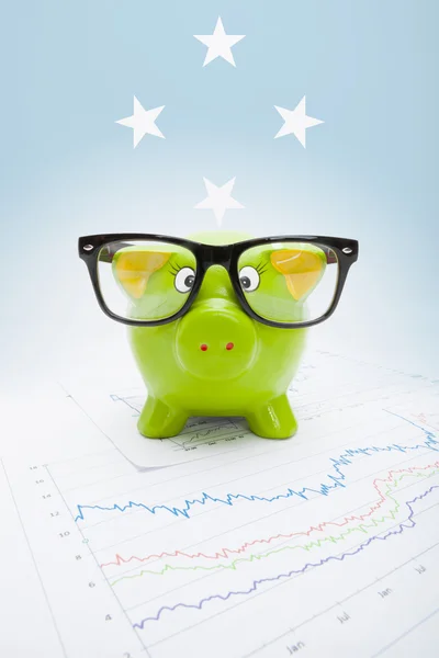 Piggy bank with flag on background - Federated States of Micronesia — Stock Photo, Image