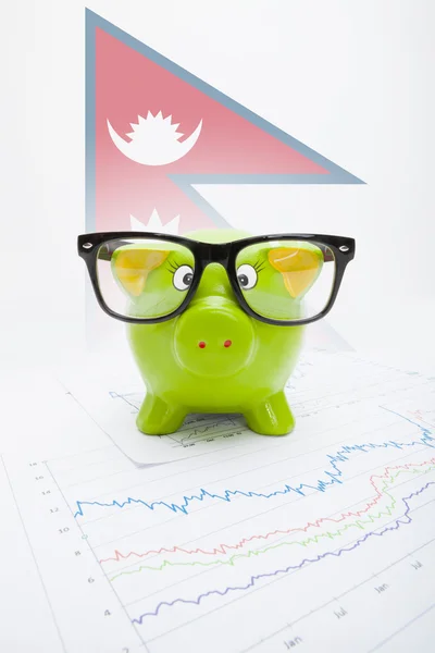 Piggy bank with flag on background - Nepal — Stock Photo, Image