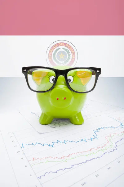 Piggy bank with flag on background - Paraguay — Stock Photo, Image