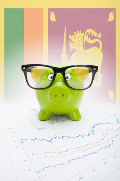 Piggy bank met vlag op achtergrond - sri lanka — Stockfoto