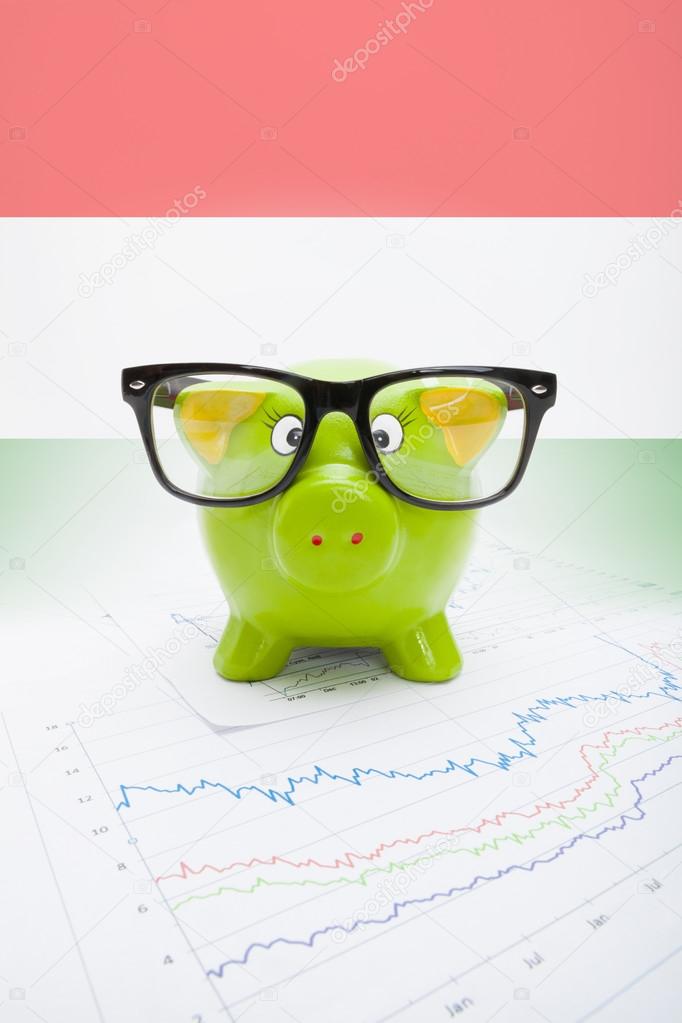 Piggy bank with flag on background - Hungary