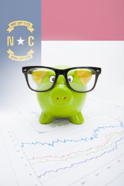kumbara bizim devlet bayrağı arka plan - north carolina