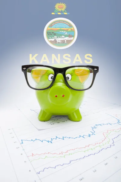 Piggy bank with US state flag on background - Kansas — Stock Photo, Image