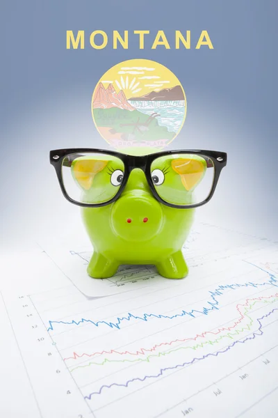 Piggy bank met ons staat vlag op achtergrond - montana — Stockfoto