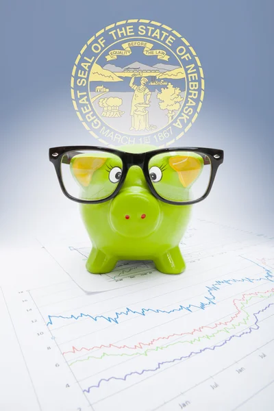 Piggy bank with US state flag on background - Nebraska — Stock Photo, Image