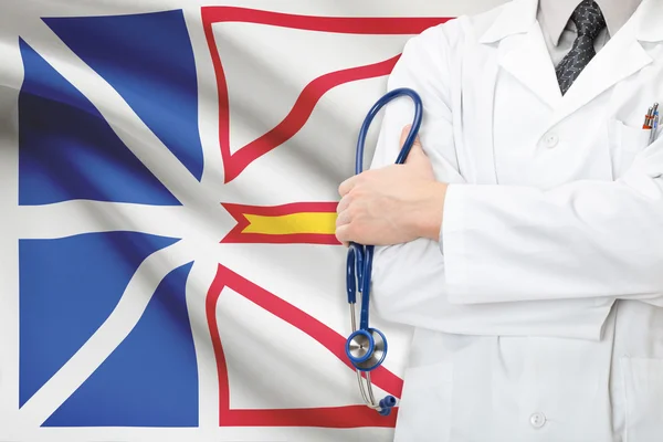 Concept du système de santé canadien national - province de Terre-Neuve- et -labrador — Photo
