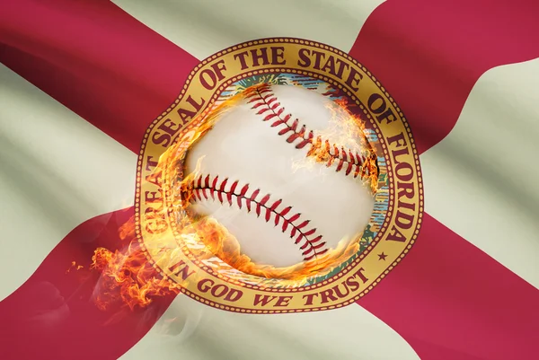 Baseball-Ball mit Flagge auf Hintergrund-Serie - florida — Stockfoto